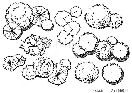 set ofcomposition trees, hand drawing, top view. architectural ink drawing, vector.	 125366056