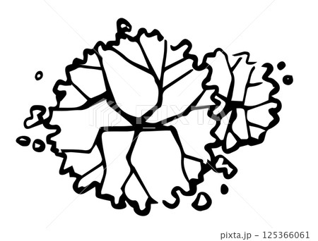top view composition of trees, hand drawn. architectural ink drawing, vector. top view composition of trees, hand drawn. architectural ink drawing, vector. 125366061