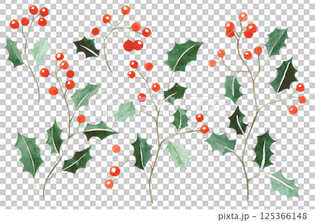 Watercolor simple illustration. Set of Christmas holly branches 125366148