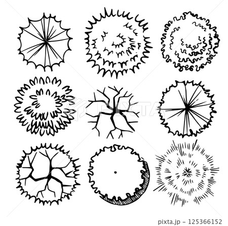 set of trees, hand drawn, top view. architectural ink drawing, vector.	 125366152