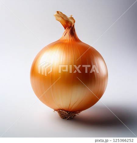 玉ねぎのイメージ画像 125366252
