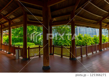 Gazebo on the pond. Gazebo on the pond. 125366271