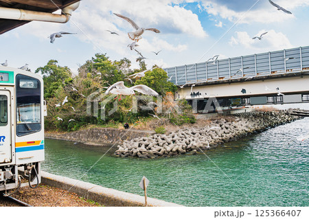 浜松市にある天竜浜名湖鉄道の浜名湖佐久米駅で飛び交うカモメたちと電車の風景(静岡県) 浜松市にある天竜浜名湖鉄道の浜名湖佐久米駅で飛び交うカモメたちと電車の風景(静岡県) 125366407