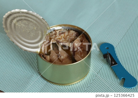 Open tin Fish can with an can opener. Canned food and special knife Open tin Fish can with an can opener. Canned food and special knife 125366425