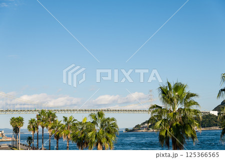 【関門橋とヤシの木　唐戸市場から】 125366565