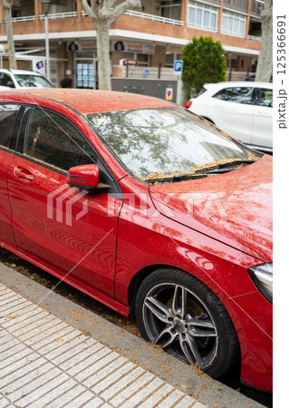 Close-up of a red car covered in dust, dirt, and tree pollen, parked on a city street. The windshield is cluttered with dry plant debris, showing neglect and seasonal environmental effects. Close-up of a red car covered in dust, dirt, and tree pollen, parked on a city street. The windshield is cluttered with dry plant debris, showing neglect and seasonal environmental effects. 125366691