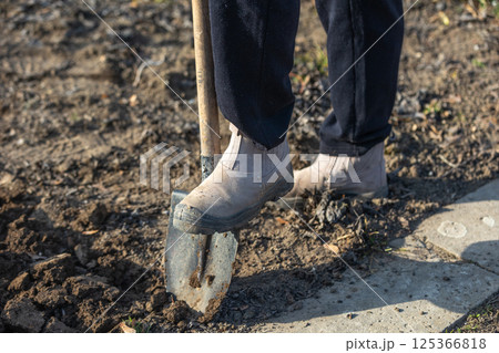 Gardener digging soil with shovel in garden bed on sunny day 125366818