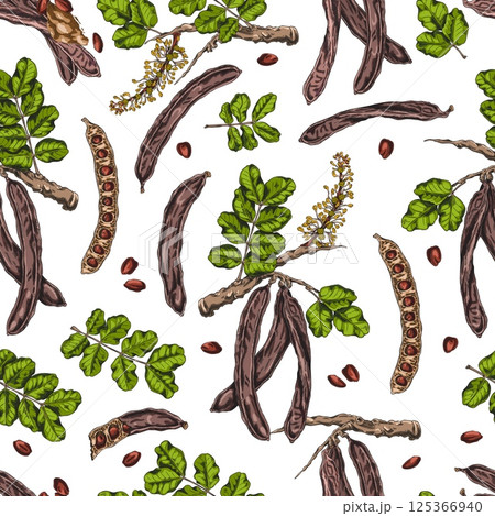 Carob tree bean pods on stem with seeds, leaves and flowers sketch vector seamless pattern design, hand drawn superfood Carob tree bean pods on stem with seeds, leaves and flowers sketch vector seamless pattern design, hand drawn superfood 125366940