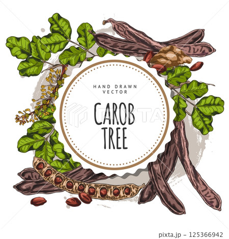 Carob tree bean pods, flowers and leaves, seeds and powder sweetener plant product sketch, hand drawn vector round label 125366942