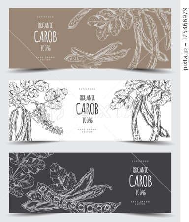 Carob tree bean pods, flowers and leaves, seeds and powder sweetener plant product, hand drawn engraved label vector set Carob tree bean pods, flowers and leaves, seeds and powder sweetener plant product, hand drawn engraved label vector set 125366979