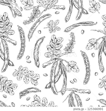 Carob tree bean pods with seeds, leaves and flowers sketch vector seamless pattern design, hand drawn engraved superfood 125366991