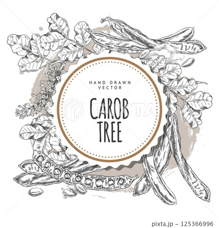Carob tree bean pods, flowers and leaves, seeds and powder sweetener product, engraved hand drawn vector round label 125366996