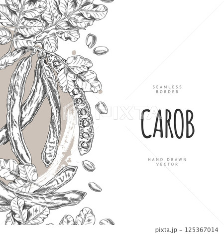 Carob tree bean pods on stem with leaves sketch vector vertical seamless border design, hand drawn engraved superfood 125367014
