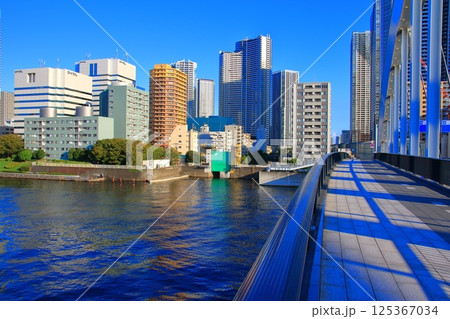 築地大橋と勝どきの高層マンション群 築地大橋と勝どきの高層マンション群 125367034