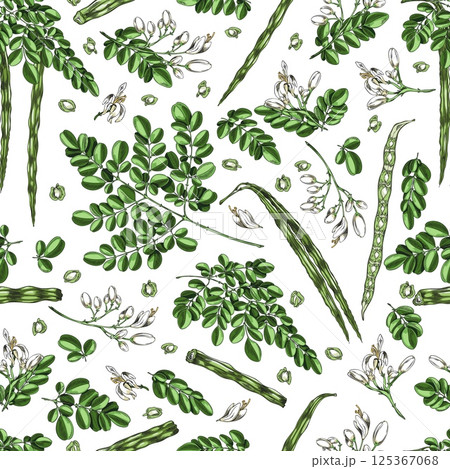 Moringa oleifera sketch vector seamless pattern design, hand drawn twig with green leaves, bean pod and seeds, superfood Moringa oleifera sketch vector seamless pattern design, hand drawn twig with green leaves, bean pod and seeds, superfood 125367068