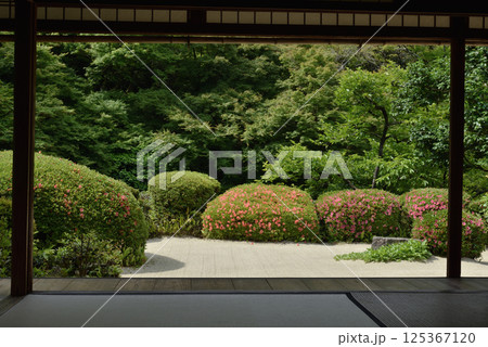 詩仙堂丈山寺　サツキの咲くころの庭園(京都市左京区) 125367120