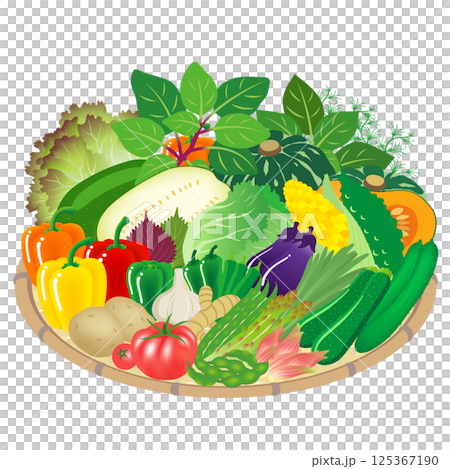 夏季蔬菜 125367190