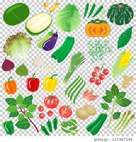 夏野菜 夏野菜 125367194