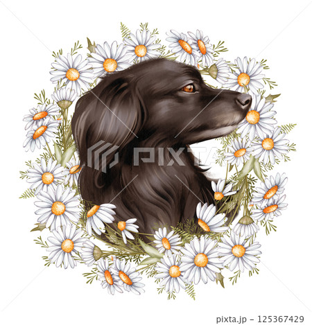 Illustration of a black dog surrounded by a wreath of daisies 125367429