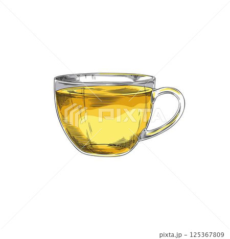 Glass cup of tea sketch icon, vector hand drawn transparent mug with natural drink, brewing herbal beverage tea ceremony 125367809