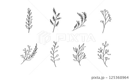 A hand-sketched botanical element with light, airy strokes and natural flow. A hand-sketched botanical element with light, airy strokes and natural flow. 125368964