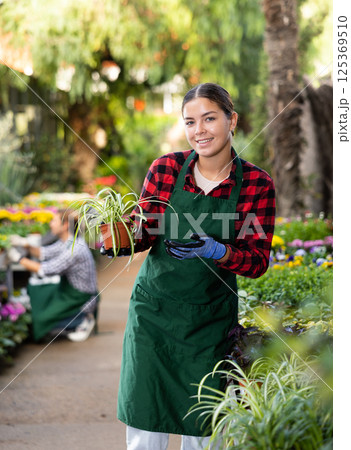Smiling salesgirl offering potted Chlorophytum comosum in greenhouse Smiling salesgirl offering potted Chlorophytum comosum in greenhouse 125369510