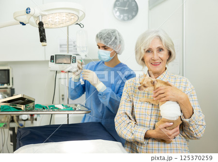 Positive woman standing with chihuahua in examination room of veterinary clinic 125370259
