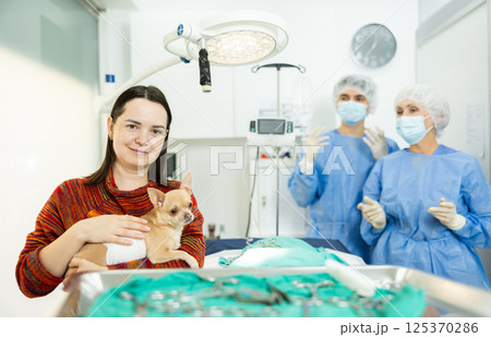 Smiling woman holding chihuahua with bandaged belly after successful surgery Smiling woman holding chihuahua with bandaged belly after successful surgery 125370286