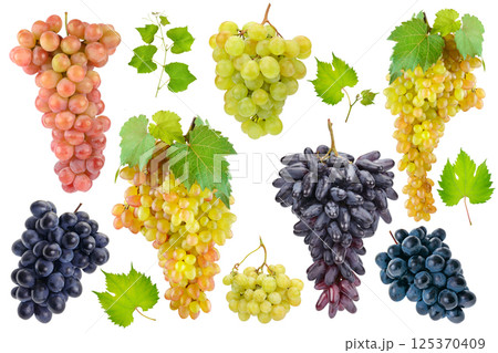 Set of beautiful ripe grape bunches and leaves isolated on white 125370409
