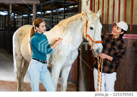 Two women weaving braids on the mane of a white horse in stable Two women weaving braids on the mane of a white horse in stable 125370501