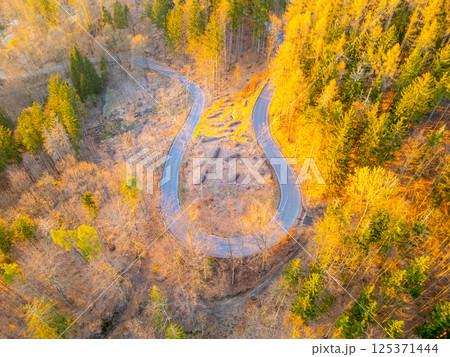 A serpentine road winds through a forest during autumn, showcasing a mix of orange and green foliage. The aerial view highlights the tranquil landscape and gentle curves of the road. A serpentine road winds through a forest during autumn, showcasing a mix of orange and green foliage. The aerial view highlights the tranquil landscape and gentle curves of the road. 125371444