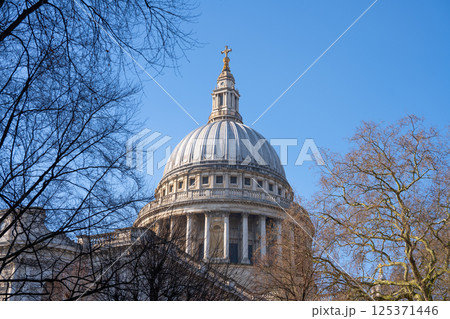 St. Paul's Cathedral, an iconic feature of London's skyline, showcases its magnificent dome under a vibrant blue sky. The bare trees frame this historic architectural marvel beautifully. St. Paul's Cathedral, an iconic feature of London's skyline, showcases its magnificent dome under a vibrant blue sky. The bare trees frame this historic architectural marvel beautifully. 125371446