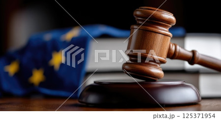 Judicial Gavel with European Union Flag and Books in Background 125371954