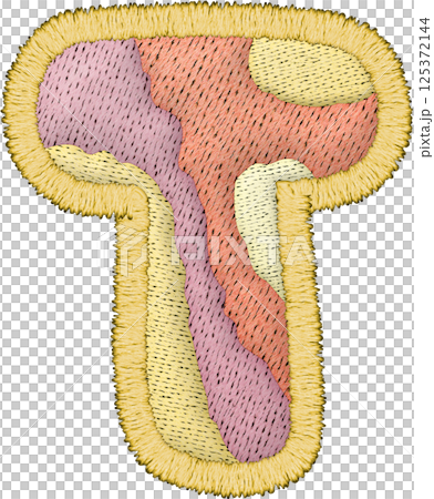 Colorful alphabet patchwork letter uppercase T with embroidery texture and textile design Colorful alphabet patchwork letter uppercase T with embroidery texture and textile design 125372144