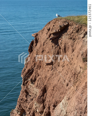 helgoland island in the german north sea helgoland island in the german north sea 125372461
