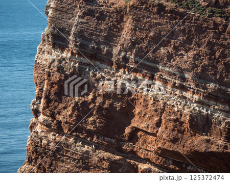 helgoland island in the german north sea helgoland island in the german north sea 125372474