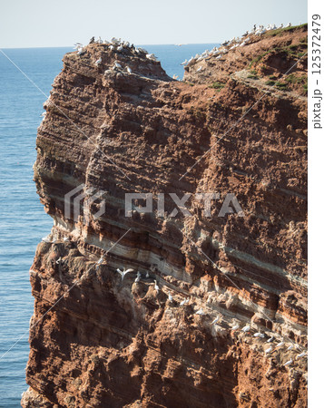 helgoland island in the german north sea 125372479