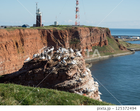 helgoland island in the german north sea helgoland island in the german north sea 125372494