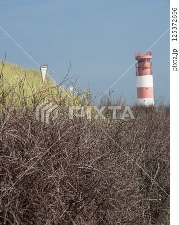 helgoland island in the german north sea helgoland island in the german north sea 125372696