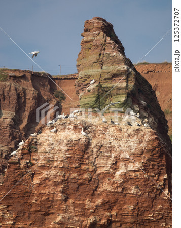 helgoland island in the german north sea helgoland island in the german north sea 125372707