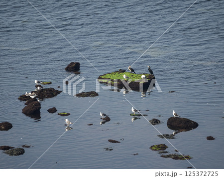 helgoland island in the german north sea helgoland island in the german north sea 125372725
