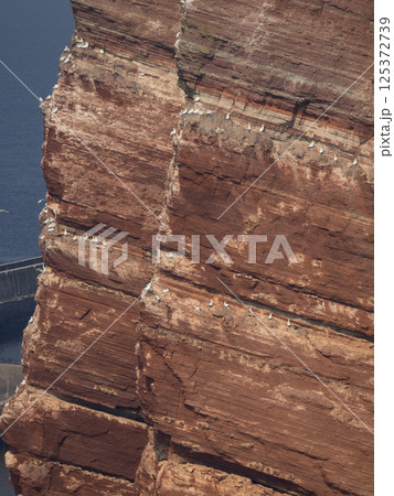 helgoland island in the german north sea 125372739