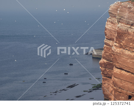 helgoland island in the german north sea helgoland island in the german north sea 125372741