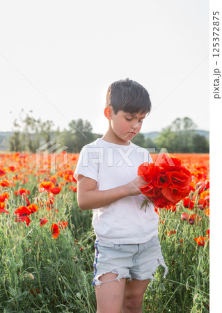 child stands in the middle of poppy field holding bouquet of poppies in hands 125372875