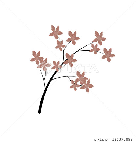 Cherry blossom branch in flat design. Beautiful sakura blooming flowers. Vector illustration isolated. 125372888