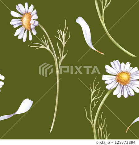Seamless watercolor pattern with daisies and petals. Wild white flowers on a green background. Watercolor illustration. Design for packaging, textiles. wallpaper. Seamless watercolor pattern with daisies and petals. Wild white flowers on a green background. Watercolor illustration. Design for packaging, textiles. wallpaper. 125372894