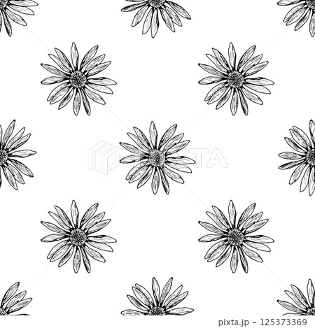 Seamless pattern with hand drawn wildflowers resembling chamomile, echinacea, and arnica. Black and white floral design perfect for packaging, textiles, and natural product branding. 125373369