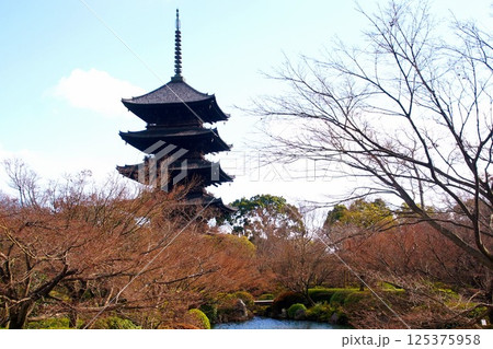 京都府 東寺・五重塔(国宝) 京都市 南区 九条町 2022年2月 京都府 東寺・五重塔(国宝) 京都市 南区 九条町 2022年2月 125375958
