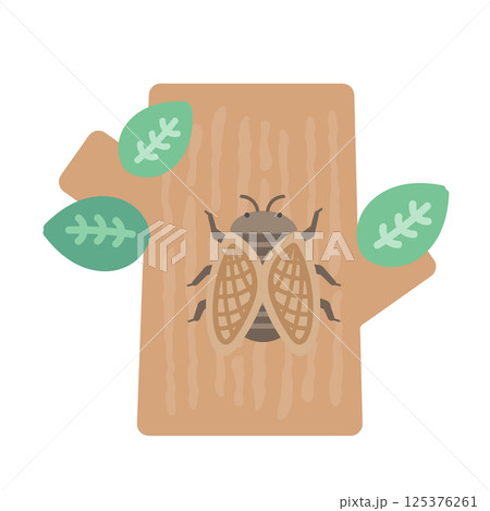 木にとまるセミ  イラスト 125376261