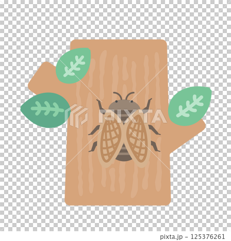 木にとまるセミ  イラスト 125376261